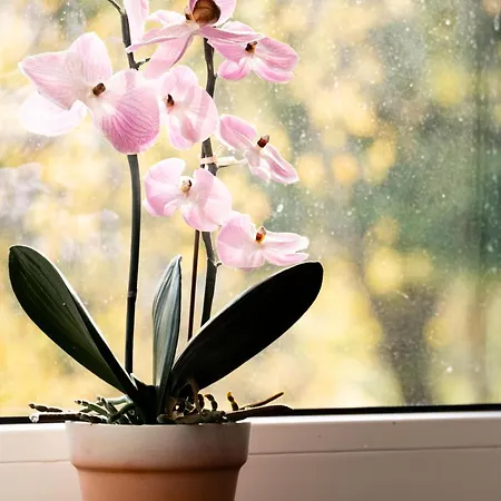 Apartamento Kunterbunt *