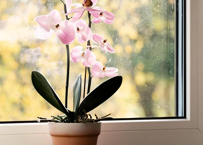 Lägenhet Kunterbunt *